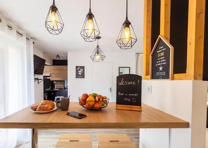 Toulousecitystay بلانياك