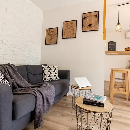 Apartment Toulousecitystay
